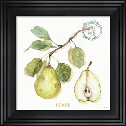 Framed My Greenhouse Fruit I Print