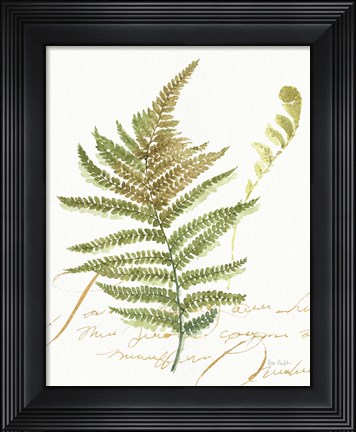 Framed My Greenhouse Fern II Print