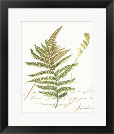 Framed My Greenhouse Fern II Print