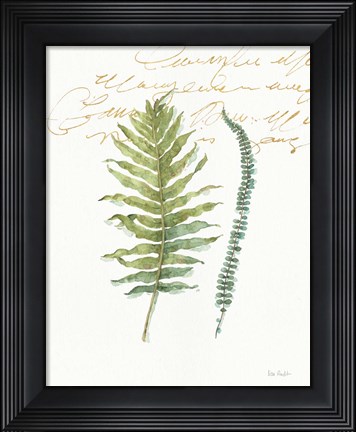 Framed My Greenhouse Fern I Print