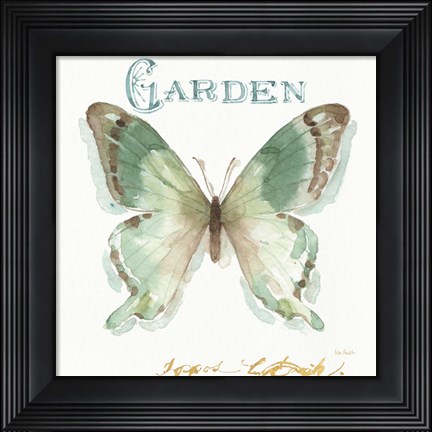 Framed My Greenhouse Butterflies III Print
