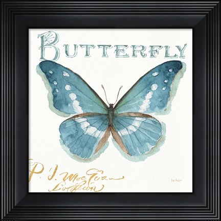 Framed My Greenhouse Butterflies II Print