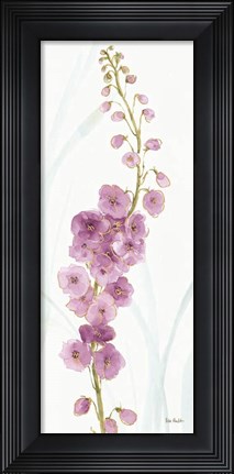 Framed Rainbow Seeds Flowers VII Print