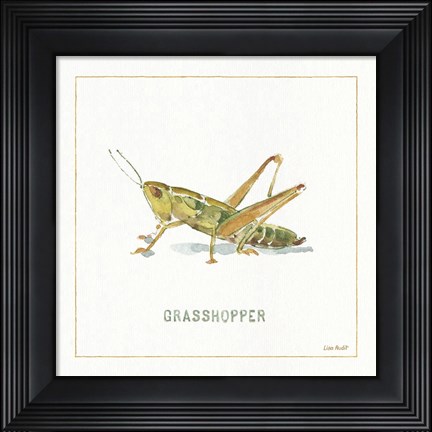 Framed My Greenhouse Grasshopper Print