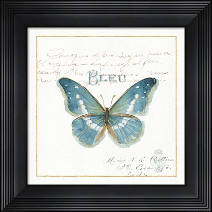 Framed Rainbow Seeds Butterflies V Print
