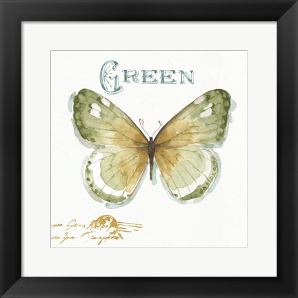 Framed My Greenhouse Butterflies IV Print