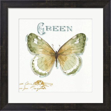Framed My Greenhouse Butterflies IV Print