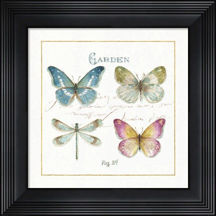 Framed Rainbow Seeds Butterflies IV Print