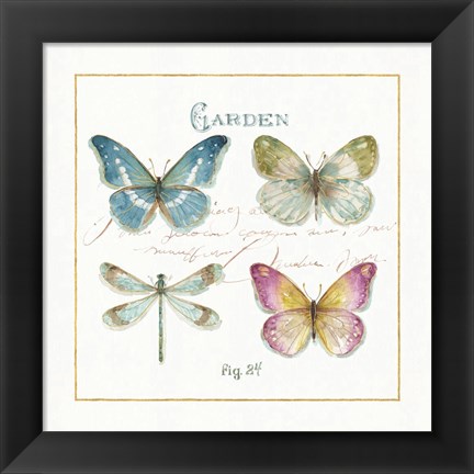 Framed Rainbow Seeds Butterflies IV Print