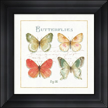 Framed Rainbow Seeds Butterflies III Print