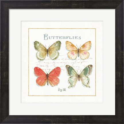 Framed Rainbow Seeds Butterflies III Print