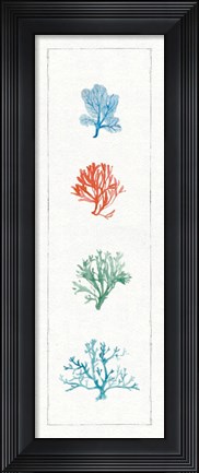 Framed Water Coral VII Print