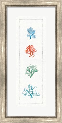 Framed Water Coral VII Print
