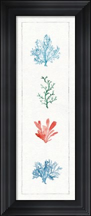 Framed Water Coral VIII Print