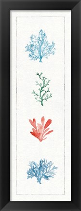 Framed Water Coral VIII Print