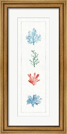 Framed Water Coral VIII Print