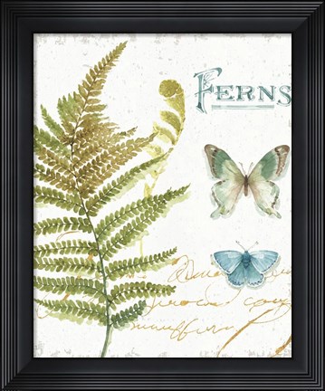 Framed My Greenhouse Botanical III Print
