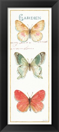 Framed Rainbow Seeds Butterflies II Print