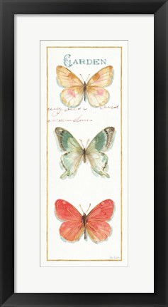 Framed Rainbow Seeds Butterflies II Print