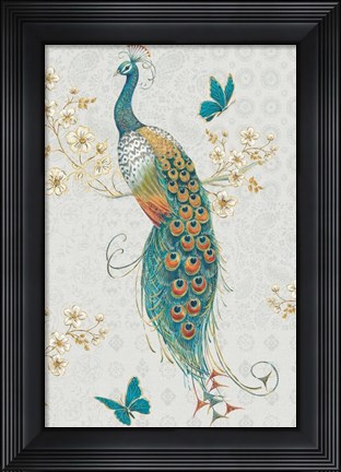 Framed Ornate Peacock IXA Print