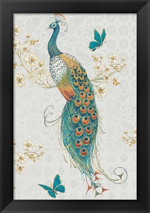 Framed Ornate Peacock IXA Print