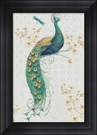 Framed Ornate Peacock IXA Print