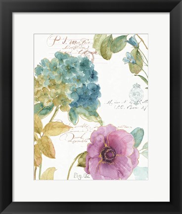 Framed Rainbow Seeds Botanical I Print