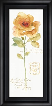 Framed Rainbow Seeds Loose Floral III Print