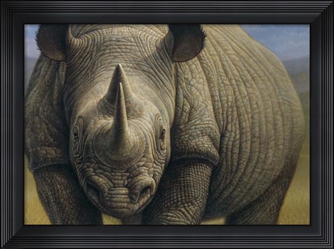 Framed Rhinos Print