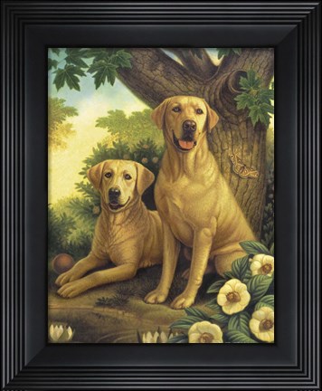 Framed Yellow Labs Print