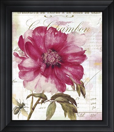 Framed Pink Peony Print