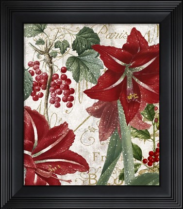 Framed Amaryllis Print