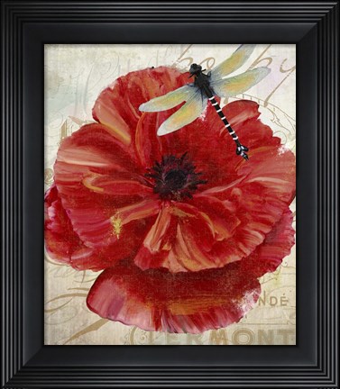 Framed Le Pavot Dragonfly Print
