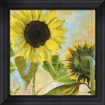 Framed Soleil I Print