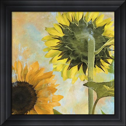 Framed Soleil II Print