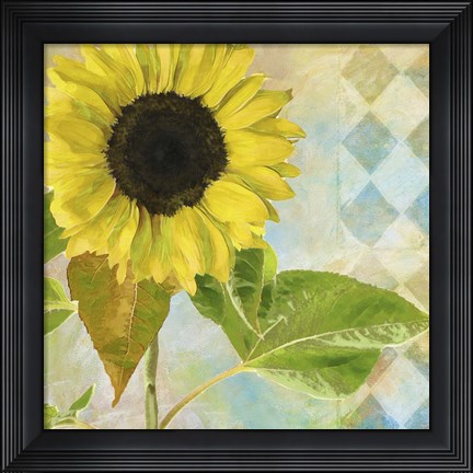 Framed Soleil III Print