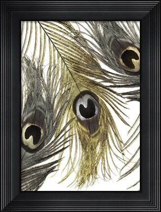 Framed Feather Fashion I Print