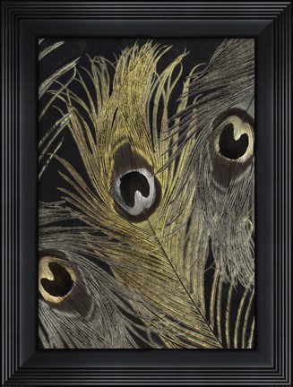 Framed Feather Fashion II Print