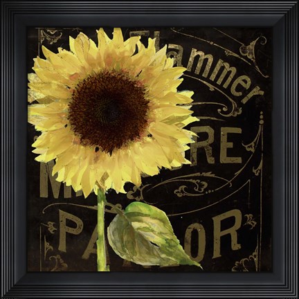 Framed Sunflower Salon I Print