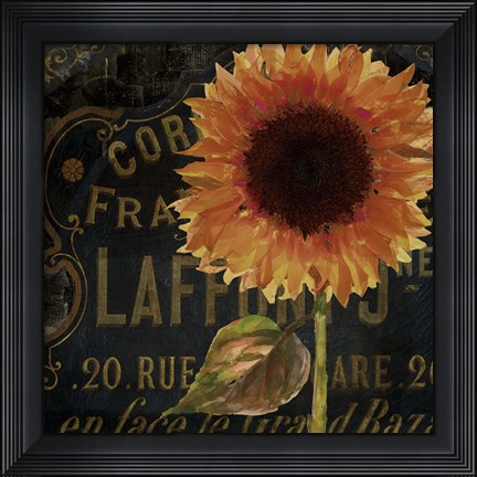 Framed Sunflower Salon II Print