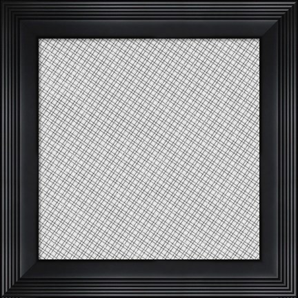 Framed Mesh Print