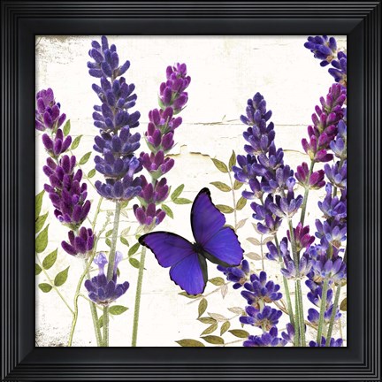 Framed Lavande I Print