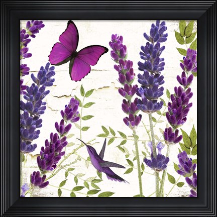 Framed Lavande II Print
