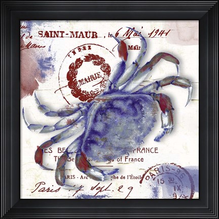 Framed Oceania I Print