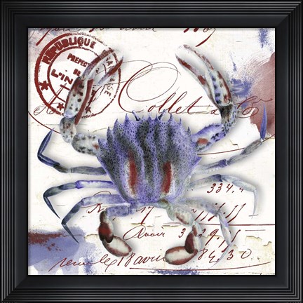 Framed Oceania II Print