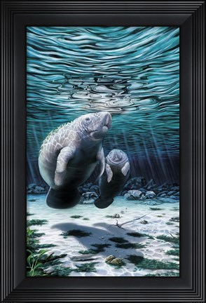 Framed Mermaids Of Crystal River Print