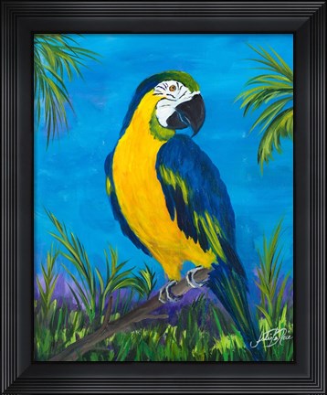 Framed Island Birds II Print