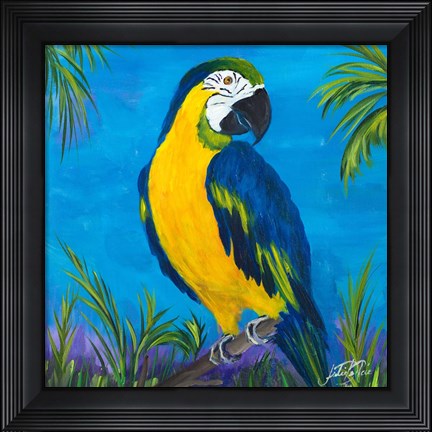 Framed Island Birds Square II Print