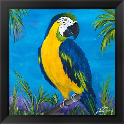 Framed Island Birds Square II Print