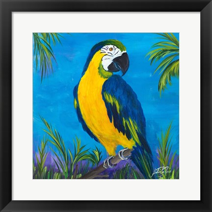 Framed Island Birds Square II Print